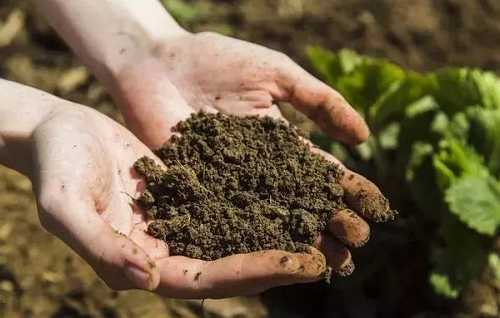 最全的“土壤改良”方案，常见土壤8大问题及解决措施都在这了！