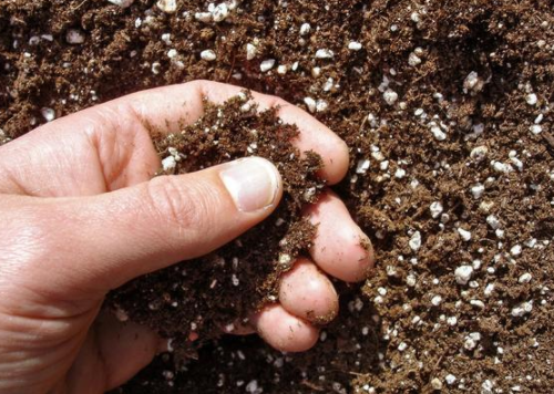 种菜越久土壤越硬怎么办，加入这3种，土质松软又透气，赶紧试试