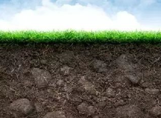土壤的生命核心是“微生物”