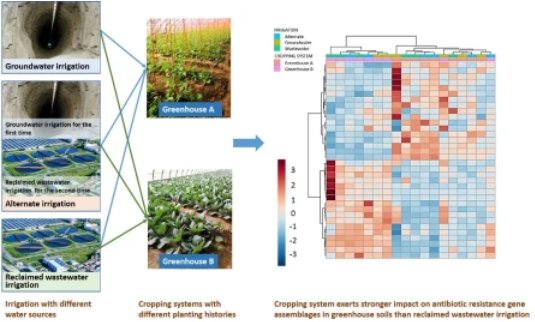 研究发现 再生水灌溉对土壤无显著影响