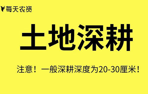 这些土壤改良方法也太实用了……