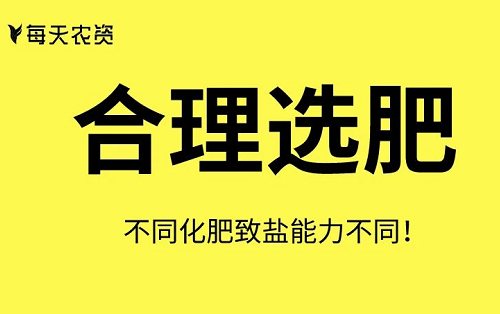 这些土壤改良方法也太实用了……