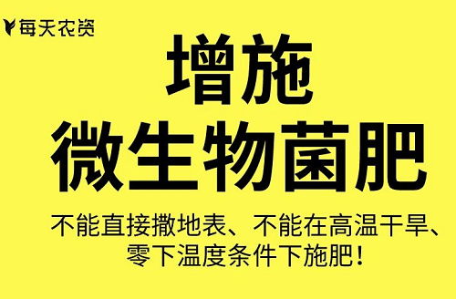 这些土壤改良方法也太实用了……