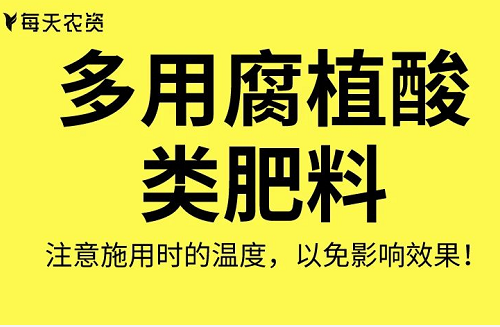 这些土壤改良方法也太实用了……