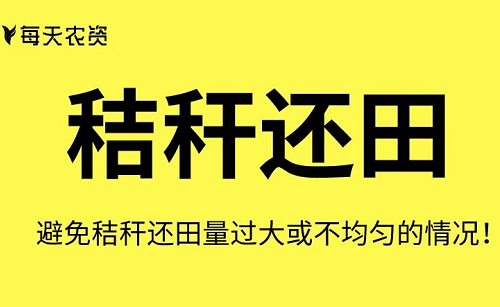 这些土壤改良方法也太实用了……