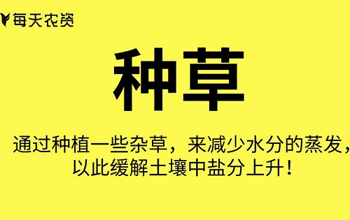 这些土壤改良方法也太实用了……