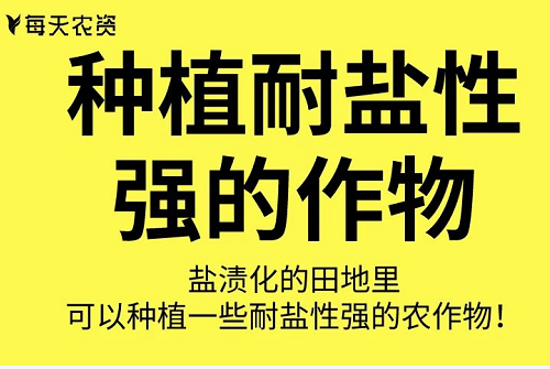 这些土壤改良方法也太实用了……