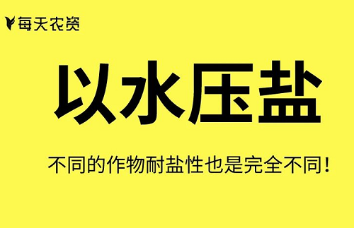 这些土壤改良方法也太实用了……