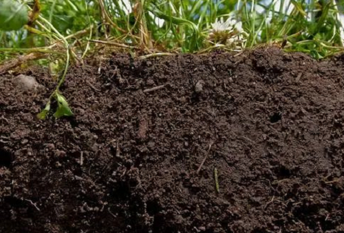 最全“土壤有机质”知识汇总！