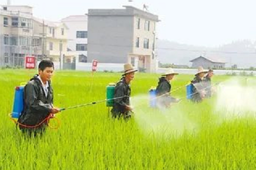 最全“土壤有机质”知识汇总！