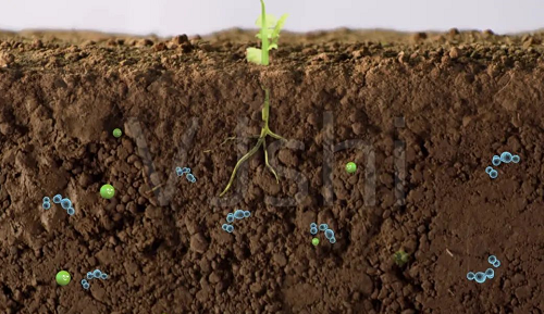 土壤老化怎么办？菜地土壤改良和培肥技术！