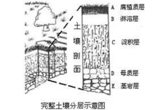 地理笔记：土壤