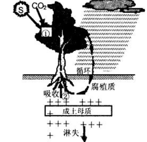 地理笔记：土壤