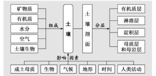 地理笔记：土壤