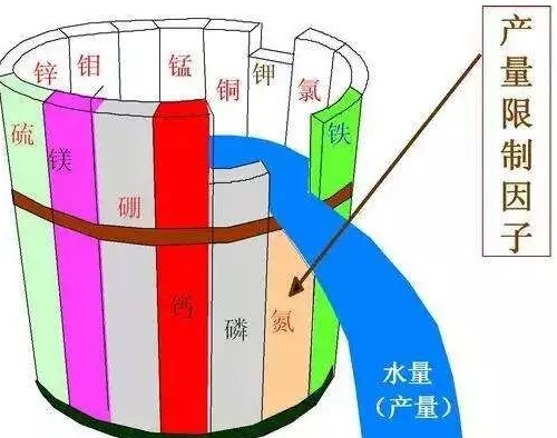 别再只上氮磷钾了！原来土壤最缺的是它！