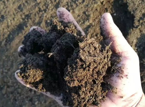 怎么判断土壤肥瘦？10个小妙招，立马看透！