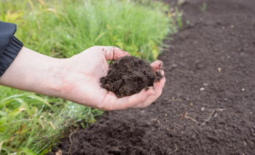 王银香代表：做好土壤源头质量保护
