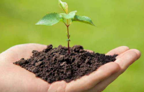 土壤状态究竟对我们生活有多么重要？