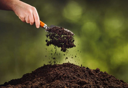 谁又真的了解土壤呢？
