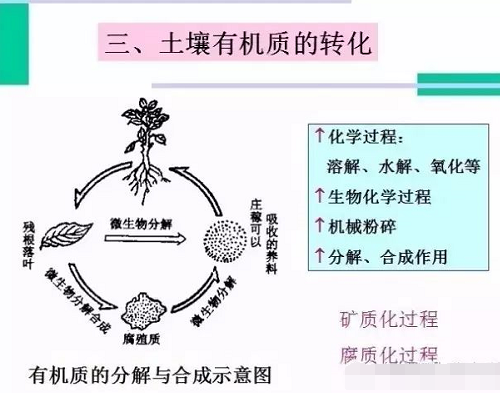 史上最全“土壤有机质”知识！