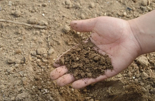 史上最全“土壤有机质”知识！