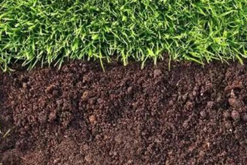 碱性土壤改良方法是什么