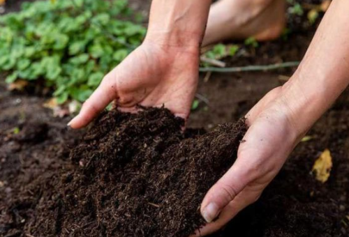 腐植酸对土壤的作用：对土壤酶活性的影响