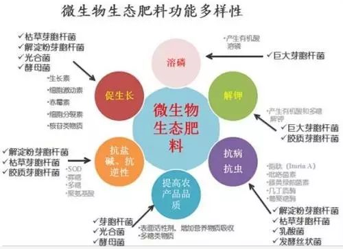 生物有机肥为何能改善农产品品质、提高土壤肥力？