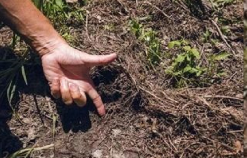 衡量土壤肥不肥的标准是什么？