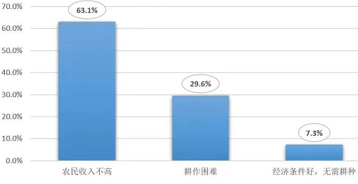 从耕地质量看“家底”：各地化肥用量究竟减了多少？如何从源头守红线？