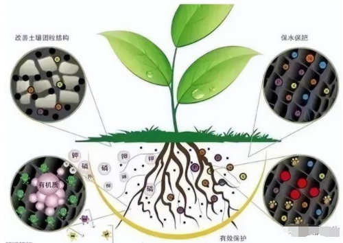 土壤微生物对作物生长影响有多大？必须了解一下！