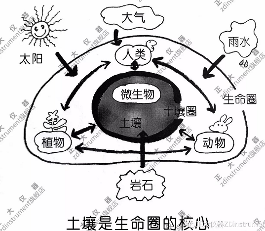 土壤是物质循环的核心