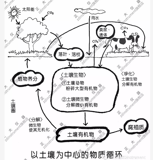 土壤是物质循环的核心