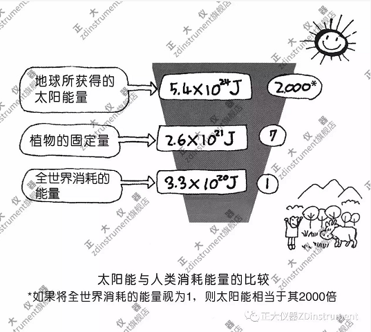 土壤是物质循环的核心