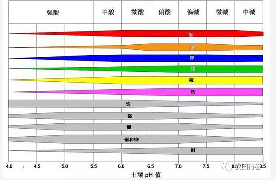 土壤病了！用再多肥料也白瞎！