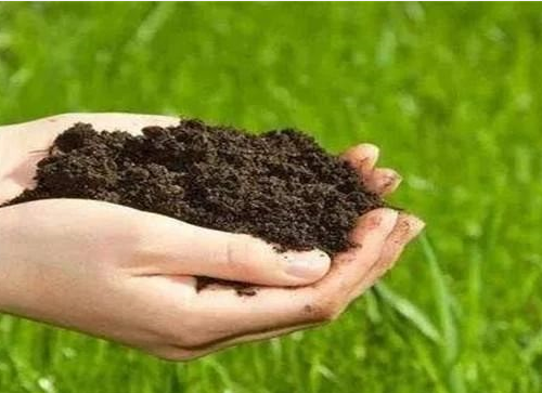 有机质是土壤养分的主要来源