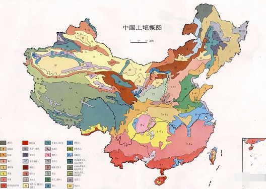 全国哪里的土壤最肥沃？有了这张图，一看就清楚！