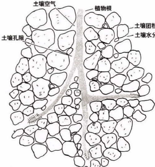 土壤基础知识（图文版）