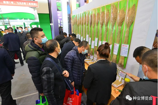 前方速报--- 哈尔滨种业博览会精细化办展再升级，办展我们是专业的！