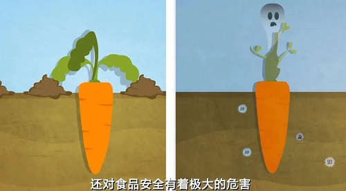 与你有关！土壤污染对人体健康有什么影响？