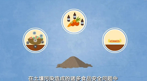 与你有关！土壤污染对人体健康有什么影响？