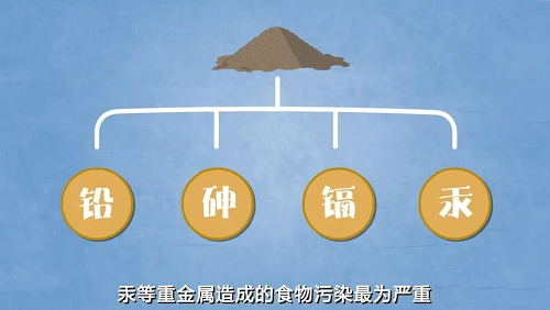 与你有关！土壤污染对人体健康有什么影响？