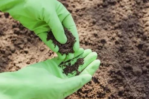 实施农田土壤重金属污染防治项目的四点建议！