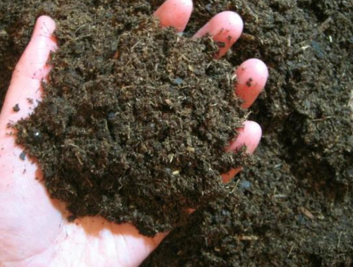 遇到板结土壤不要怕，合理施肥，就能帮助植物吸收营养