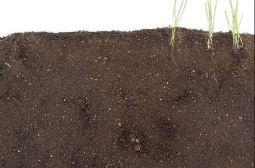 土壤改良技术的不同阶段