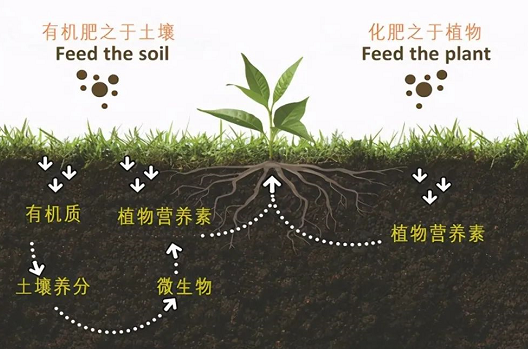 作物产量低了怎么办？质量差了怎么办？