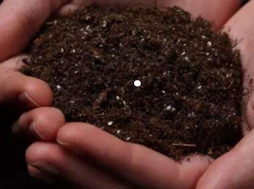 土壤有机质作用大揭秘