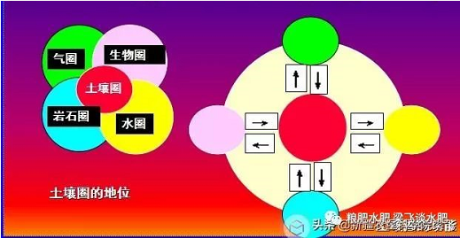 如何科学应用土壤的综合因素，科学测土施肥！