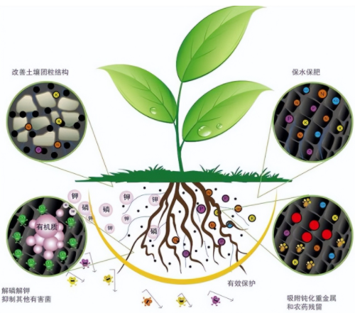 “土壤肥力”到底是什么？提高肥力提高的什么？科学数据来解释