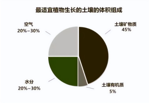 “土壤肥力”到底是什么？提高肥力提高的什么？科学数据来解释